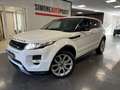 Land Rover Range Rover Evoque Range Rover Evoque 2011 5p 2.2 td4 Prestige 150cv Weiß - thumbnail 1