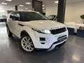 Land Rover Range Rover Evoque Range Rover Evoque 2011 5p 2.2 td4 Prestige 150cv Weiß - thumbnail 4