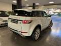Land Rover Range Rover Evoque Range Rover Evoque 2011 5p 2.2 td4 Prestige 150cv Weiß - thumbnail 12