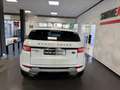 Land Rover Range Rover Evoque Range Rover Evoque 2011 5p 2.2 td4 Prestige 150cv Weiß - thumbnail 8