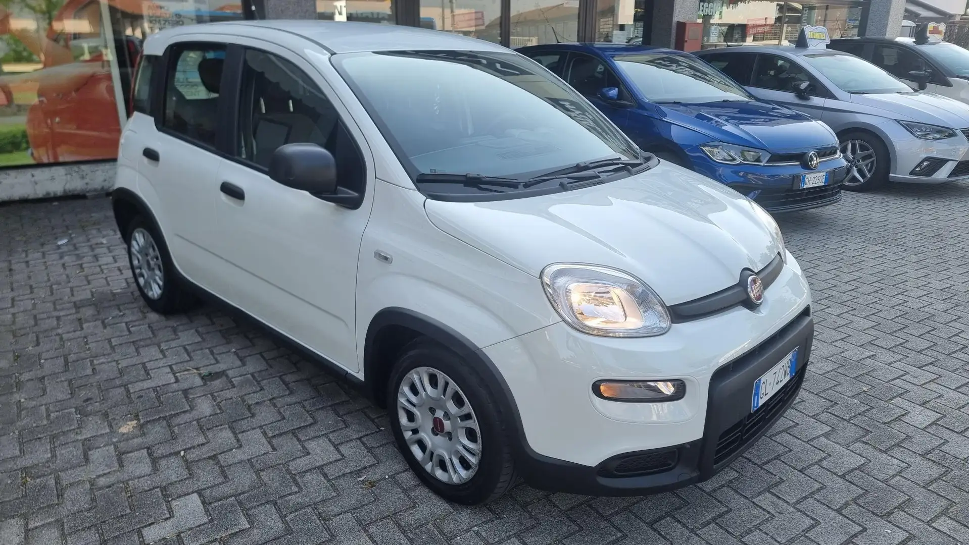 Fiat Panda 1.0 FireFly S&S Hybrid Bianco - 1