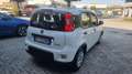 Fiat Panda 1.0 FireFly S&S Hybrid Bianco - thumbnail 5