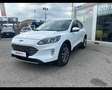 Ford Kuga 1.5 EcoBlue Titanium Blanc - thumbnail 1