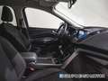 Ford Kuga 1.5 EcoB. Auto S&S Trend+ 4x2 120 Blanco - thumbnail 11