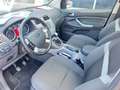 Ford Kuga Champions Edition 4x4 Allrad Grau - thumbnail 7