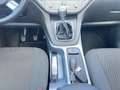 Ford Kuga Champions Edition 4x4 Allrad Grau - thumbnail 14