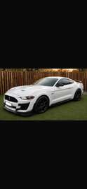2.3 EcoBoost (EU6.2)