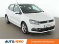 Volkswagen Polo 1.2 TSI Comfortline BMT*PDC*SHZ*PANO*KLIMA* Blanc - thumbnail 8