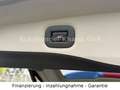 Nissan X-Trail N-Connecta 4x4-7 Sitzer-Panorama-360CAM Blau - thumbnail 10