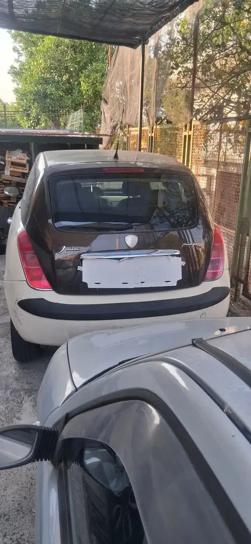 Lancia Ypsilon 1.3 mjt Oro - 1
