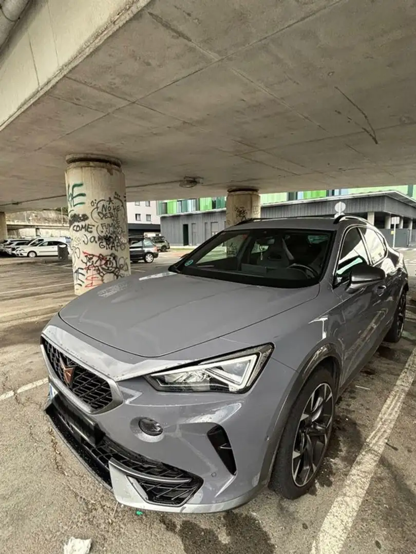 CUPRA Formentor 2.0 TSI - 1
