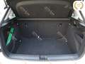 Skoda Kamiq 1.0 TSI 110 CV Ambition Wit - thumbnail 14