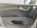 Audi 40 e-tron Navi Pano CAM Wärmepumpe ACC Virtua siva - thumbnail 14
