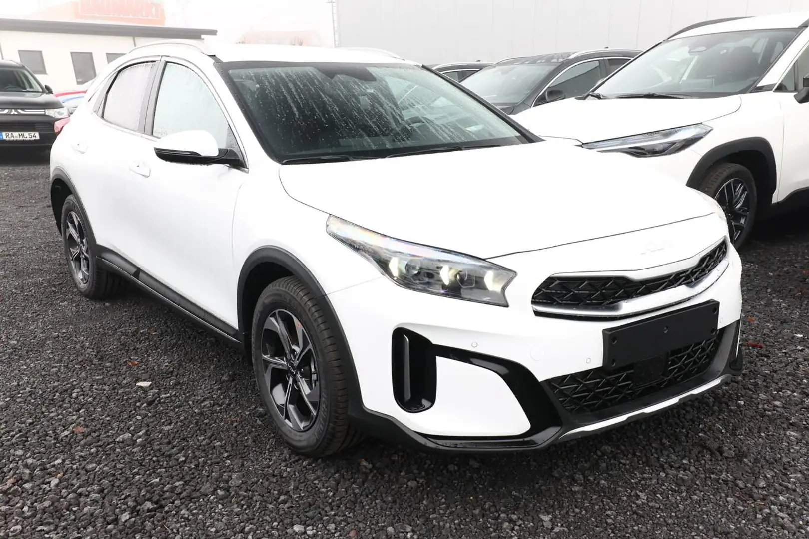 Kia XCeed DCT MY26 Nav LED 2xPDC Privacy Kam 2Z-Klim 110 ... Weiß - 2