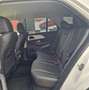 Mercedes-Benz GLE 300 GLE 300 d Sport 4matic 2.0 d 245cv IVA DEDUCIBILE Blanc - thumbnail 10