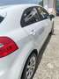 Kia Rio Noleggia subito una Kia Rio 1.2 GPL! Bianco - thumbnail 4