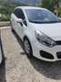 Kia Rio Noleggia subito una Kia Rio 1.2 GPL! Bianco - thumbnail 14