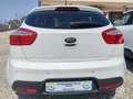 Kia Rio Noleggia subito una Kia Rio 1.2 GPL! Bianco - thumbnail 3