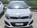 Kia Rio Noleggia subito una Kia Rio 1.2 GPL! Bianco - thumbnail 1