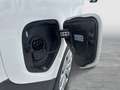 Volkswagen ID. Buzz VW ID. Buzz Cargo Pure 125 kW Weiß - thumbnail 12