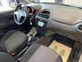 Fiat Punto Young - prezzo finale chiavi in mano € 10.400 Argento - thumbnail 22