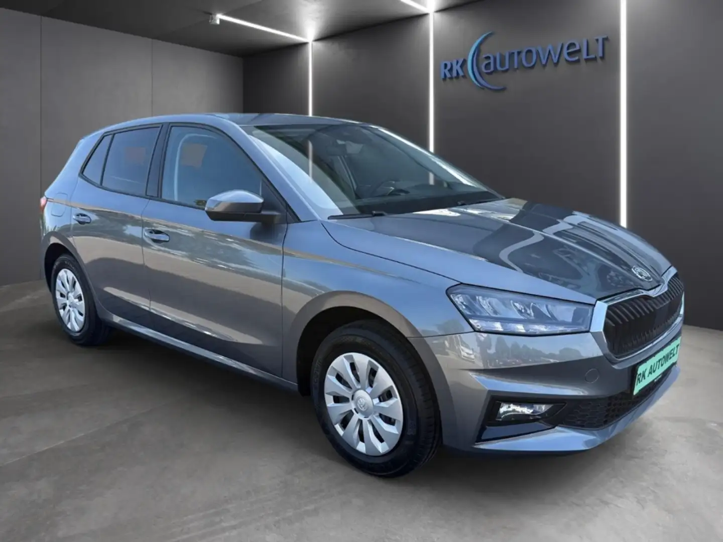 Skoda Fabia Selection 1.0 TSI Klima,SHZ,LED Gris - 2