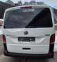 Volkswagen T6.1 Transporter Kastenwagen LR Weiß - thumbnail 6
