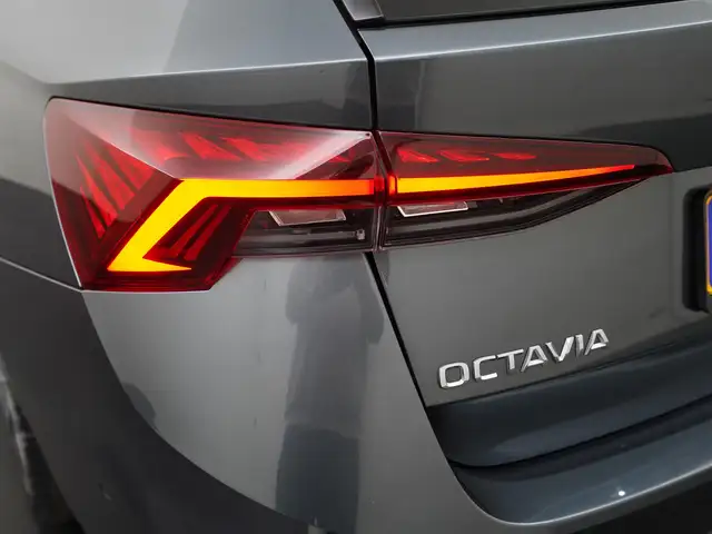Skoda Octavia view 22