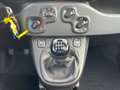 Fiat Panda +KLIMA+DIGICOCKPIT+PDC+ASSISTENTEN+5SITZER+TEMPOMA Zwart - thumbnail 20