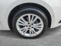 SEAT Leon Style Edition 1.5 TSI 115 PS Weiß - thumbnail 6