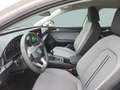 SEAT Leon Style Edition 1.5 TSI 115 PS Weiß - thumbnail 8