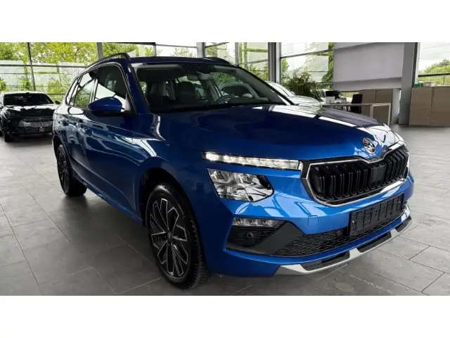 Skoda Kamiq view 4