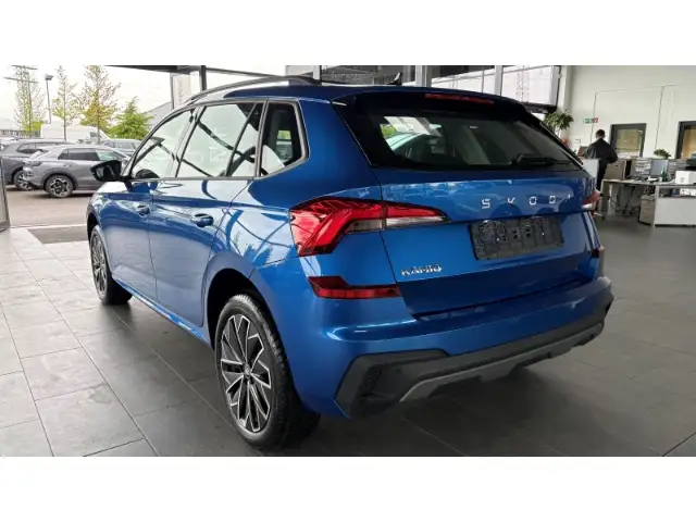 Skoda Kamiq view 2