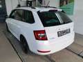 Skoda Fabia Combi 1.0 TSI CLEVER*KESSY*LED*NAVI*KLIMA* Weiß - thumbnail 4