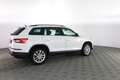 Skoda Kodiaq Kodiaq 2.0 TDI 4x4 Executive Weiß - thumbnail 3