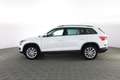 Skoda Kodiaq Kodiaq 2.0 TDI 4x4 Executive Weiß - thumbnail 6