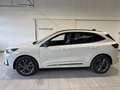 Ford Kuga 2.5 Duratec 180ch Hybrid FlexiFuel Sound Edition Powershift Weiß - thumbnail 8