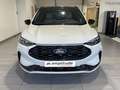 Ford Kuga 2.5 Duratec 180ch Hybrid FlexiFuel Sound Edition Powershift Weiß - thumbnail 2