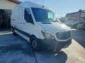 Mercedes-Benz Sprinter 314 cdi F37/33 Executive L2 H2+ IVA Bianco - thumbnail 3
