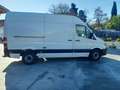 Mercedes-Benz Sprinter 314 cdi F37/33 Executive L2 H2+ IVA Bianco - thumbnail 5
