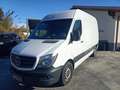 Mercedes-Benz Sprinter 314 cdi F37/33 Executive L2 H2+ IVA Bianco - thumbnail 1