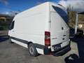 Mercedes-Benz Sprinter 314 cdi F37/33 Executive L2 H2+ IVA Bianco - thumbnail 8