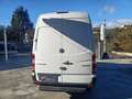 Mercedes-Benz Sprinter 314 cdi F37/33 Executive L2 H2+ IVA Bianco - thumbnail 7