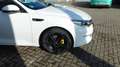 Kia Optima Vision DCT Blanco - thumbnail 14