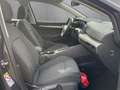 Volkswagen Golf Variant Golf VIII Variant Life 1.5 eTSI Bluetooth Navi LED Grau - thumbnail 20