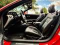 Ford Mustang Convertible 2.3 EcoBoost | 1e eig. | Europees | Cl Rouge - thumbnail 4