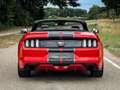 Ford Mustang Convertible 2.3 EcoBoost | 1e eig. | Europees | Cl Rouge - thumbnail 25