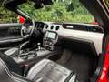 Ford Mustang Convertible 2.3 EcoBoost | 1e eig. | Europees | Cl Rouge - thumbnail 11
