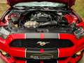 Ford Mustang Convertible 2.3 EcoBoost | 1e eig. | Europees | Cl Rouge - thumbnail 27