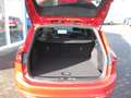 Ford Focus ST-Line X, Automatik, Panoramadach Rot - thumbnail 12